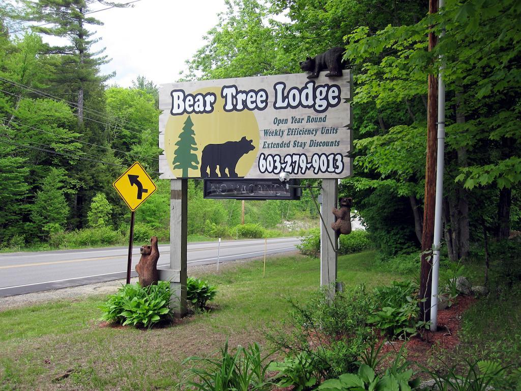 Bear Tree Lodge Weirs Beach Zewnętrze zdjęcie